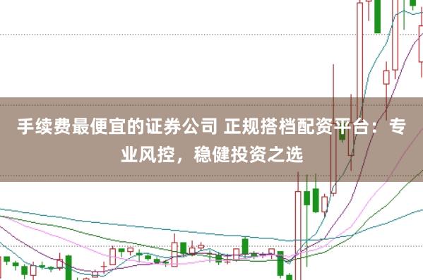 手续费最便宜的证券公司 正规搭档配资平台：专业风控，稳健投资之选
