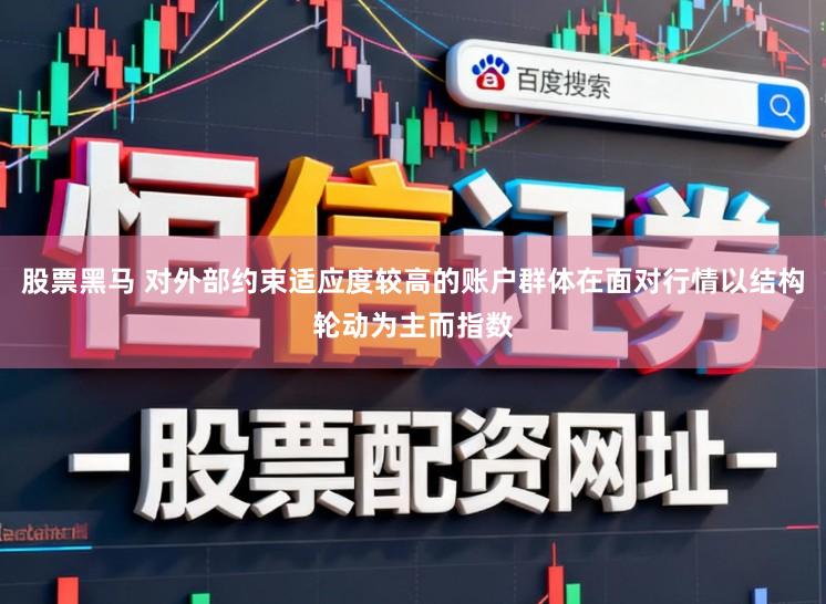 股票黑马 对外部约束适应度较高的账户群体在面对行情以结构轮动为主而指数