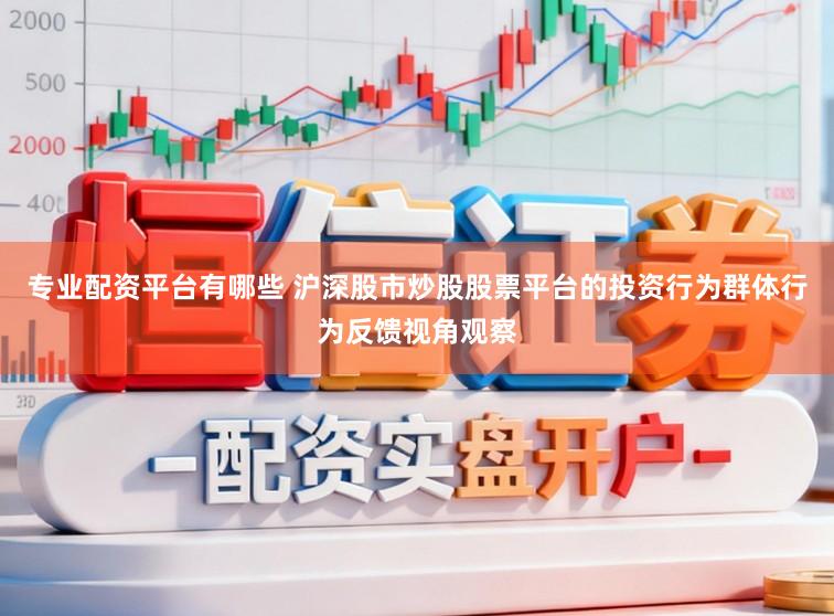 专业配资平台有哪些 沪深股市炒股股票平台的投资行为群体行为反馈视角观察