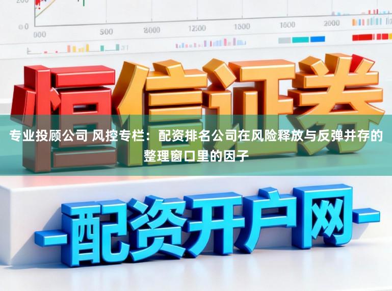 专业投顾公司 风控专栏：配资排名公司在风险释放与反弹并存的整理窗口里的因子