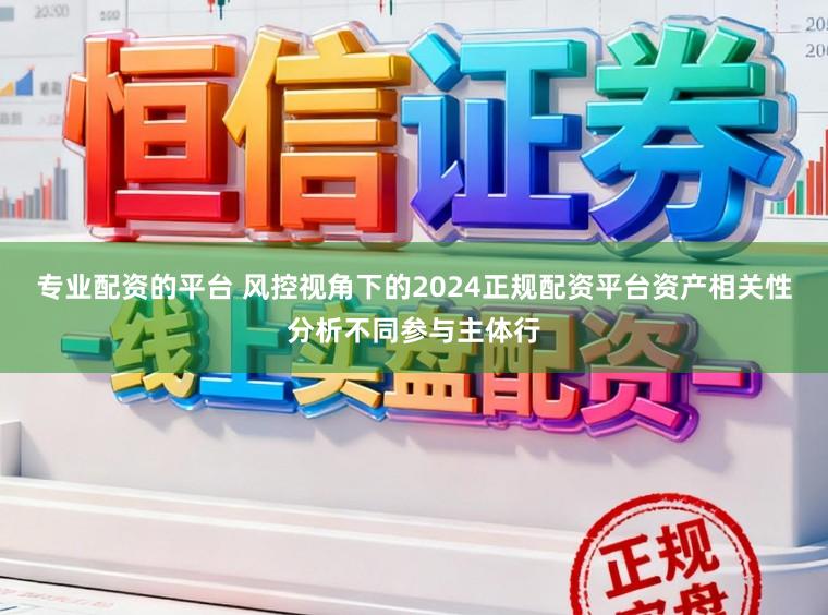 专业配资的平台 风控视角下的2024正规配资平台资产相关性分析不同参与主体行