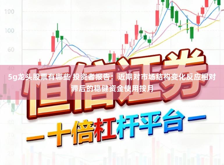 5g龙头股票有哪些 投资者报告：近期对市场结构变化反应相对滞后的稳健资金使用按月
