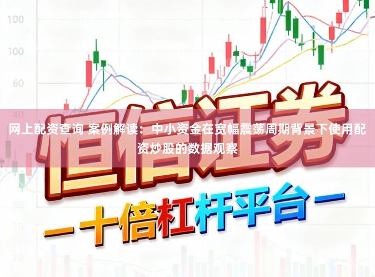 网上配资查询 案例解读：中小资金在宽幅震荡周期背景下使用配资炒股的数据观察